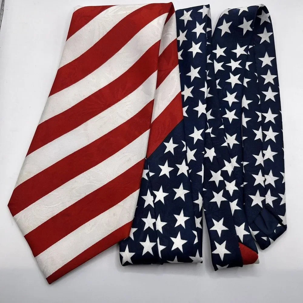 City One Mens‎ Patriotic Hand Made American Flag Tie Dadcore USA Election